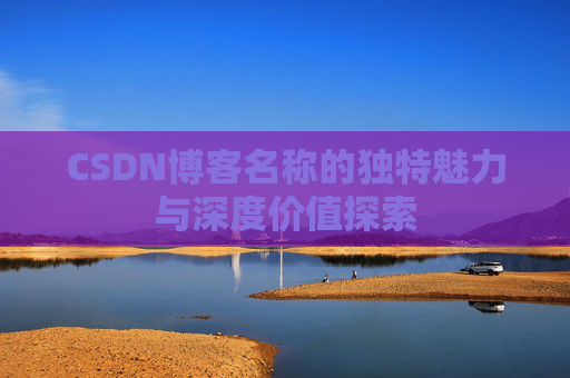 CSDN博客名称的独特魅力与深度价值探索